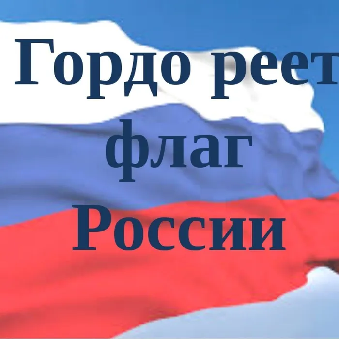 Тематическая программа "Гордо реет флаг России"