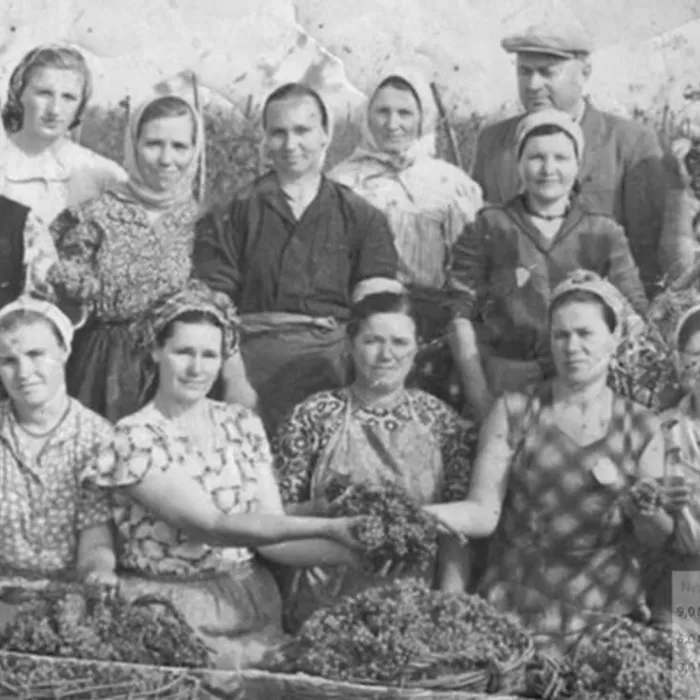 В преддверии 85 годовщины образования Краснодарского края дом культуры станицы Благовещенской участвует во флэшмобе "Люди труда-гордость Кубани"