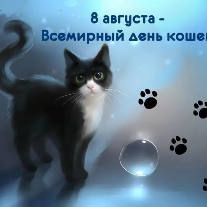Познавательная программа "Такие разные кошки"